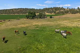 35429 McCartie Ln, Bonanza, OR 97623 - Photo 57