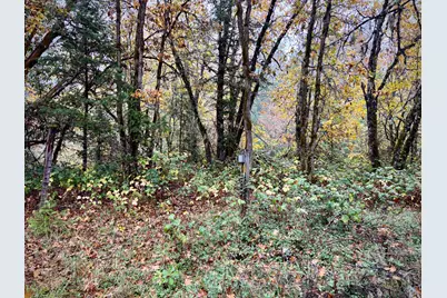 3115 Rockydale Road, Cave Junction, OR 97523 - Photo 25