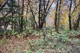 3115 Rockydale Rd, Cave Junction, OR 97523 - Photo 25