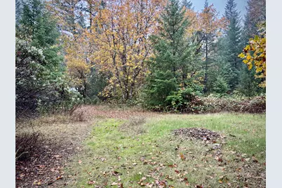 3115 Rockydale Road, Cave Junction, OR 97523 - Photo 23