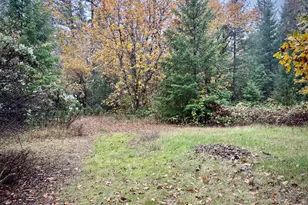 3115 Rockydale Rd, Cave Junction, OR 97523 - Photo 23