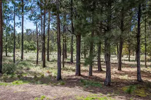 56222 Trailmere Cir, Bend, OR 97707 - Photo 67