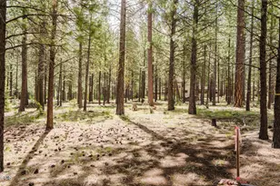 70179 Atherium, Black Butte Ranch, OR 97759 - Photo 3