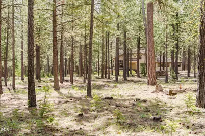 70179 Atherium #GM 412, Black Butte Ranch, OR 97759 - Photo 67