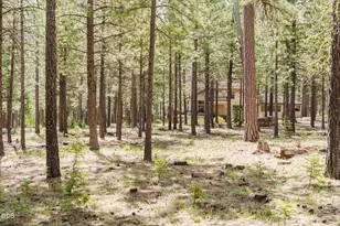 70179 Atherium, Black Butte Ranch, OR 97759 - Photo 67