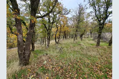 1652 China Gulch Road, Jacksonville, OR 97530 - Photo 29