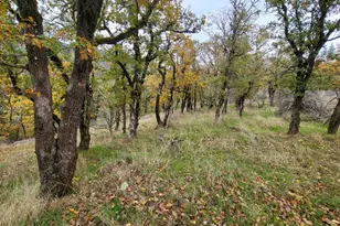 1652 China Gulch Rd, Jacksonville, OR 97530 - Photo 29