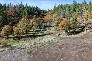 5015 Hwy 227, Trail, OR 97541 - Photo 53