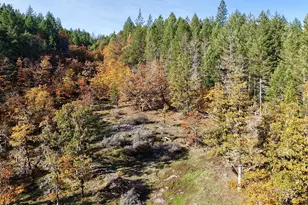 5015 Hwy 227, Trail, OR 97541 - Photo 55