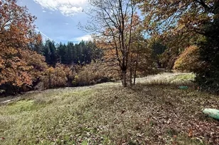 5015 Hwy 227, Trail, OR 97541 - Photo 57