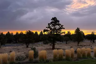 179 Highland Meadow Loop, Redmond, OR 97756 - Photo 9