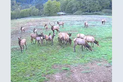 27277 Lower Smith River Road, Reedsport, OR 97467 - Photo 63