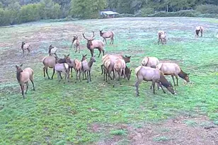 27277 Lower Smith River Rd, Reedsport, OR 97467 - Photo 63