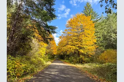 27277 Lower Smith River Road, Reedsport, OR 97467 - Photo 79