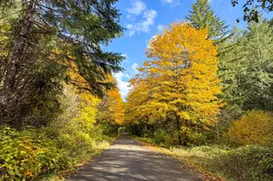 27277 Lower Smith River Rd, Reedsport, OR 97467 - Photo 79