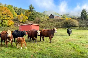 27277 Lower Smith River Rd, Reedsport, OR 97467 - Photo 45