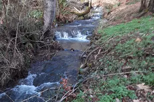 4280 Lower Wolf Creek Rd, Wolf Creek, OR 97497 - Photo 25