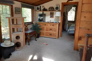 4280 Lower Wolf Creek Rd, Wolf Creek, OR 97497 - Photo 9