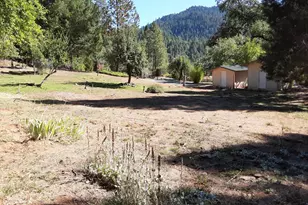 4280 Lower Wolf Creek Rd, Wolf Creek, OR 97497 - Photo 19