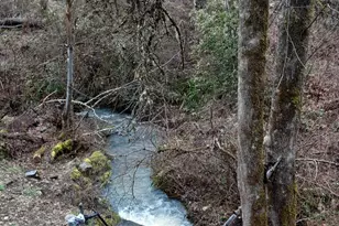 4280 Lower Wolf Creek Rd, Wolf Creek, OR 97497 - Photo 19