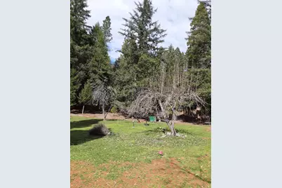 4280 Lower Wolf Creek Road, Wolf Creek, OR 97497 - Photo 19