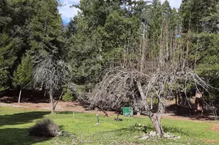 4280 Lower Wolf Creek Rd, Wolf Creek, OR 97497 - Photo 19