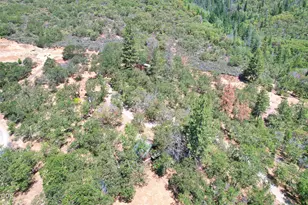 812 Left Fork Humbug Creek Rd, Applegate, OR 97530 - Photo 3