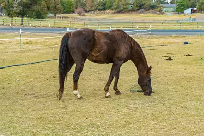 62118 Cody Jr Road, Bend, OR 97701 - Photo 41