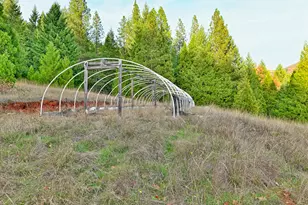 1480 Bridge Ln, Wolf Creek, OR 97497 - Photo 21