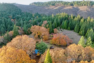 1480 Bridge Ln, Wolf Creek, OR 97497 - Photo 11