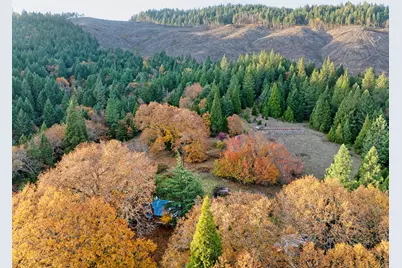 1480 Bridge Lane, Wolf Creek, OR 97497 - Photo 57