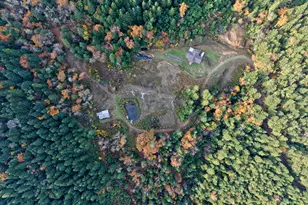 1480 Bridge Ln, Wolf Creek, OR 97497 - Photo 13