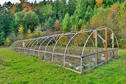 1480 Bridge Lane, Wolf Creek, OR 97497 - Photo 7