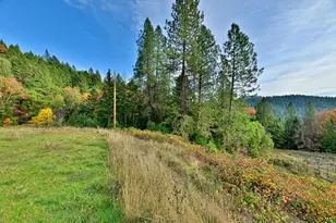 1480 Bridge Ln, Wolf Creek, OR 97497 - Photo 17