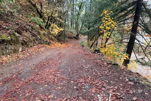 198 Coyote Creek Rd, Wolf Creek, OR 97497 - Photo 7