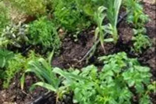 820 Wilson Ave, Metolius, OR 97741 - Photo 15