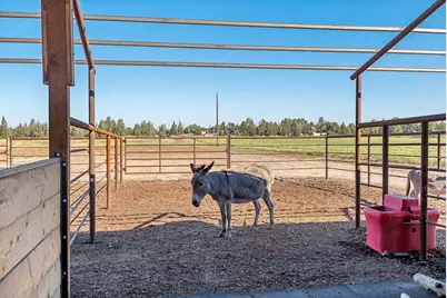 5755 SW Obsidian Avenue, Redmond, OR 97756 - Photo 61