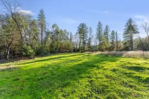 1867 Draper Valley Rd, Selma, OR 97538 - Photo 23