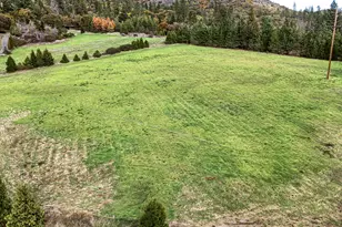 13230 Hwy 238, Jacksonville, OR 97530 - Photo 9