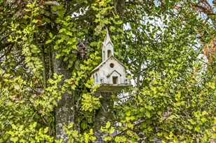 130 Acorn St, Merlin, OR 97532 - Photo 39