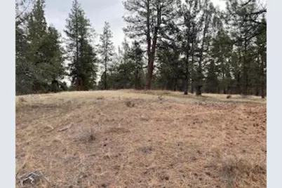 0 Widgeon, Bonanza, OR 97623 - Photo 3