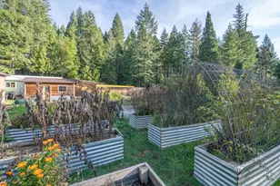 601 McMullen Creek Rd, Selma, OR 97538 - Photo 37