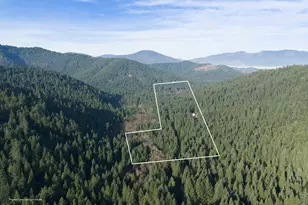 601 McMullen Creek Rd, Selma, OR 97538 - Photo 41