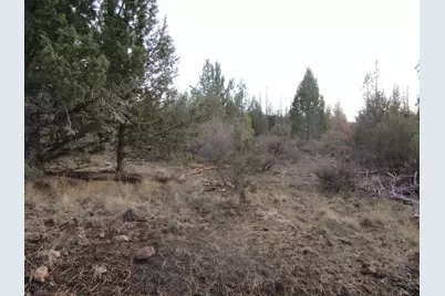 0 Polar Bear Lane #Lot 3, Bonanza, OR 97623 - Photo 7