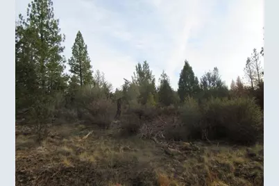 0 Polar Bear Lane #Lot 3, Bonanza, OR 97623 - Photo 5