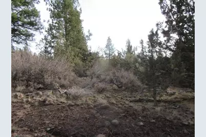 0 Polar Bear Lane #Lot 3, Bonanza, OR 97623 - Photo 3