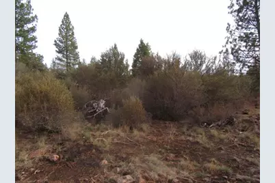 0 Polar Bear Lane #Lot 4, Bonanza, OR 97623 - Photo 5
