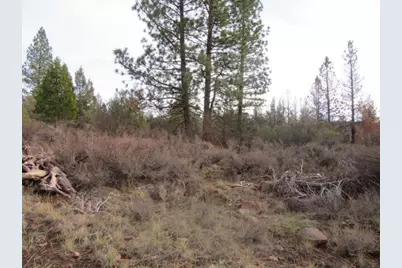 0 Polar Bear Lane #Lot 4, Bonanza, OR 97623 - Photo 7