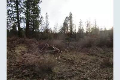 0 Polar Bear Lane #Lot 4, Bonanza, OR 97623 - Photo 3