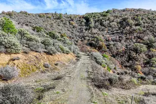 362 Humbug Creek Rd, Applegate, OR 97530 - Photo 35